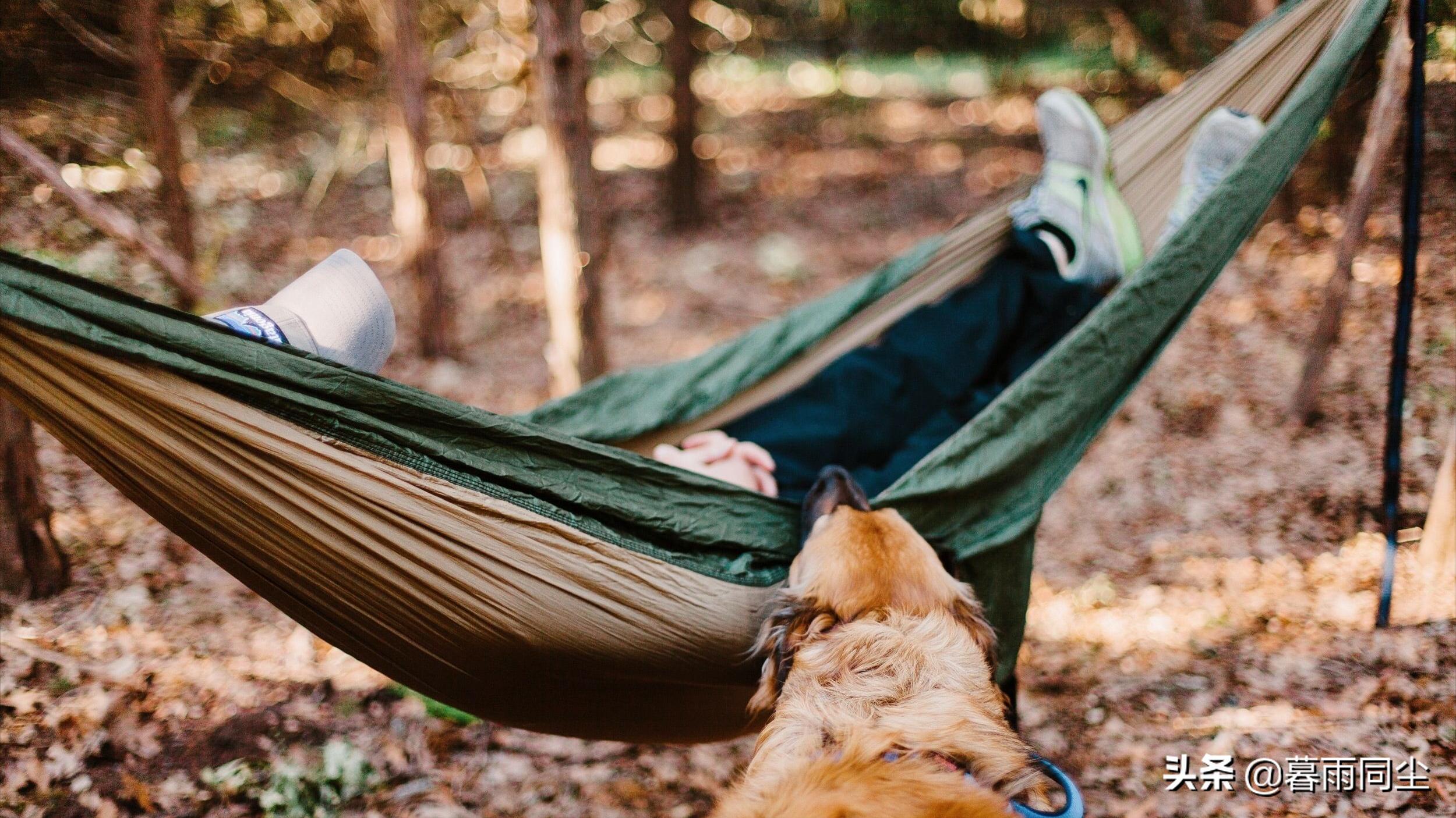 野外旅游怎么防蛇咬伤别人,野外防被蛇咬带什么药可保命