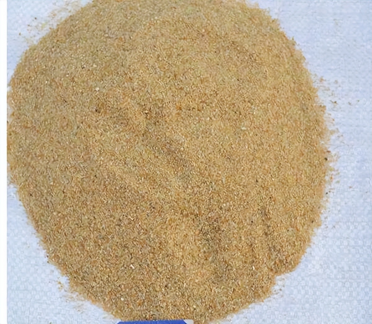 室内养花除虫小妙招,养花生虫最好的方法