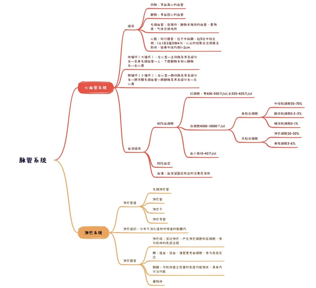 人体解剖生理基础名词解释,人体解剖生理基础ppt