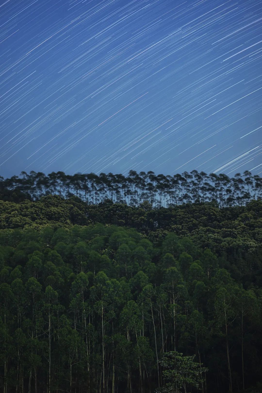摄影师于海童​：尼康Z9基本满足了我在照片与视频领域的所有需求