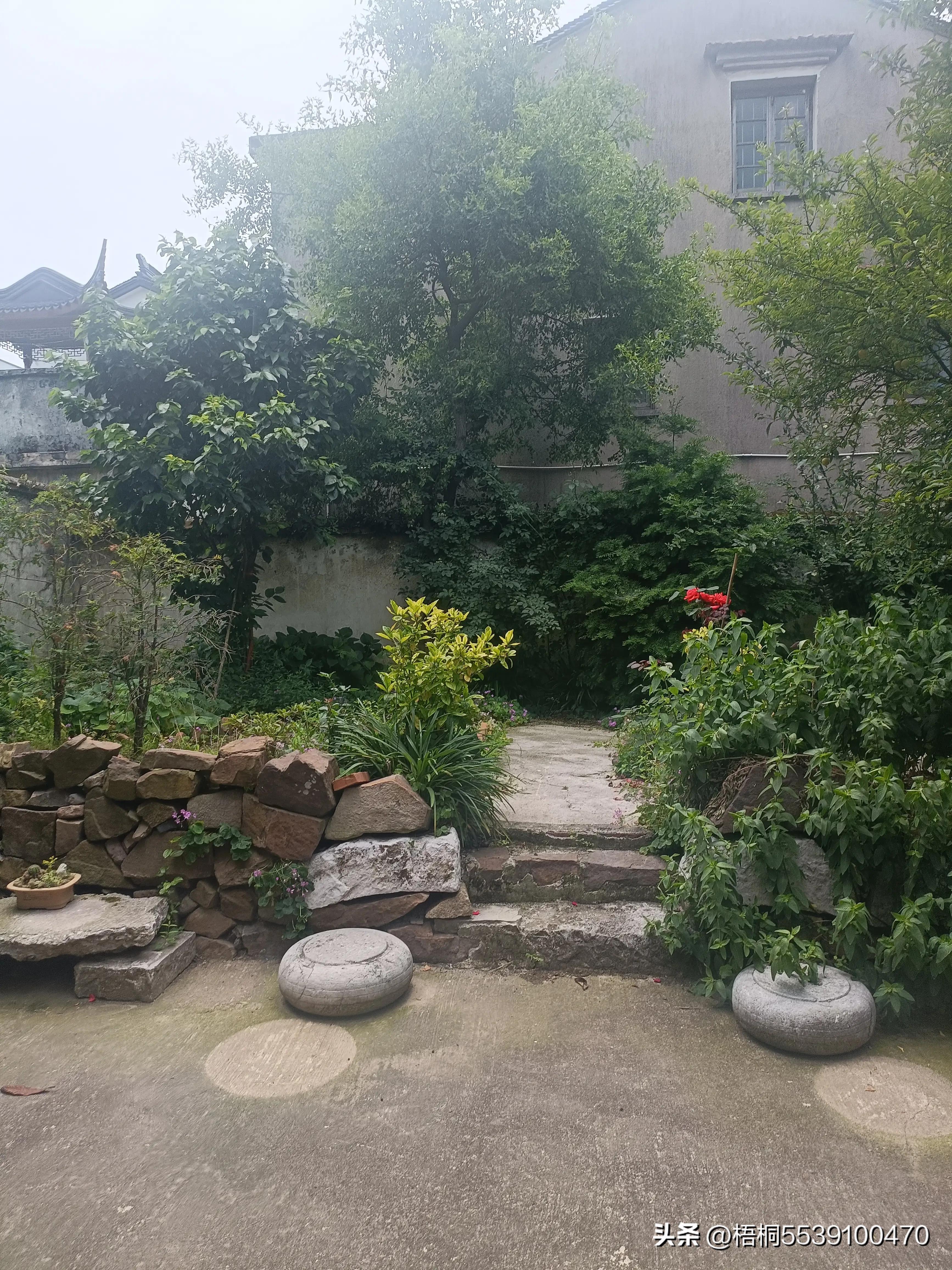 苏州洞庭西山有什么好玩的,苏州太湖东山还是西山好玩