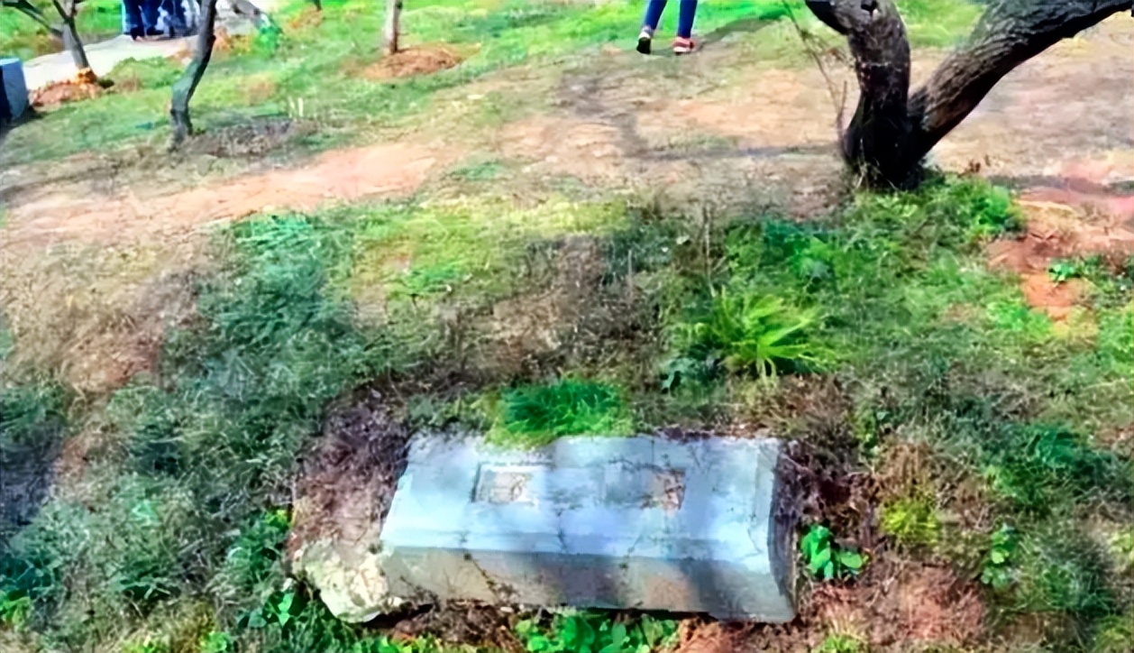 男子清明祭祖发现车辆显示有人,男子清明祭祖发现祖坟墓园被毁