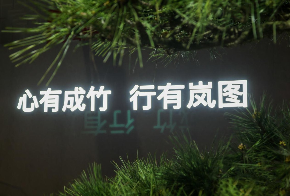 改装岚图梦想家,岚图梦想家的终身质保靠谱吗