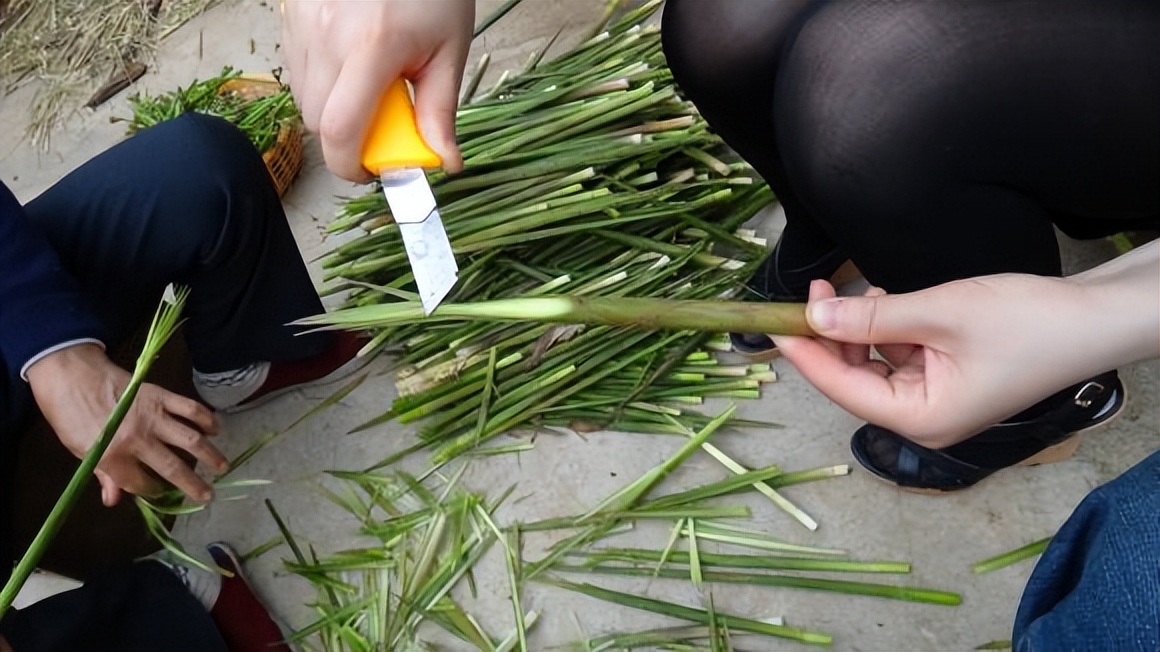 山民教剥竹笋只需3步轻松剥出笋,每日农经挖笋技巧视频
