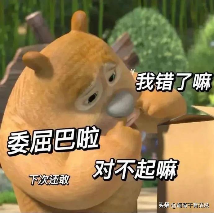 道歉专用表情包哄对象最有效,道歉专用表情包鸭鸭对不起