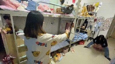 狗子看猫咪很轻松地就上去了，也学着来，结果把猫咪的窝给砸了