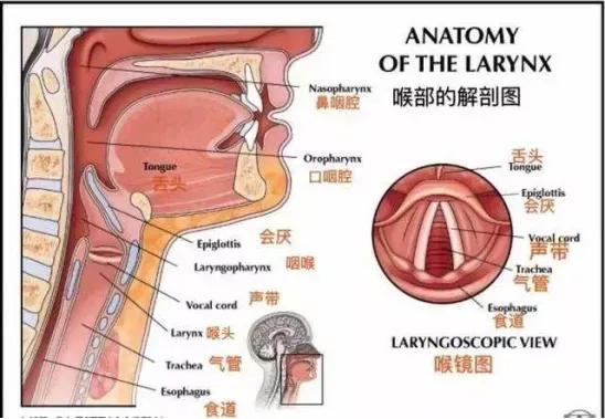 嗓子疼说话声音哑怎么办吃什么药,嗓子疼说话声音哑怎么办老咳嗽
