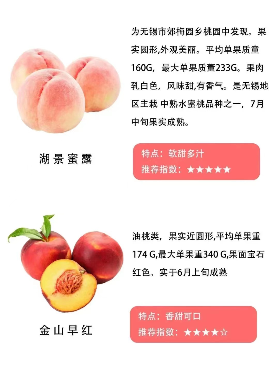 桃子品种大全及介绍,常见桃类的种类及特点