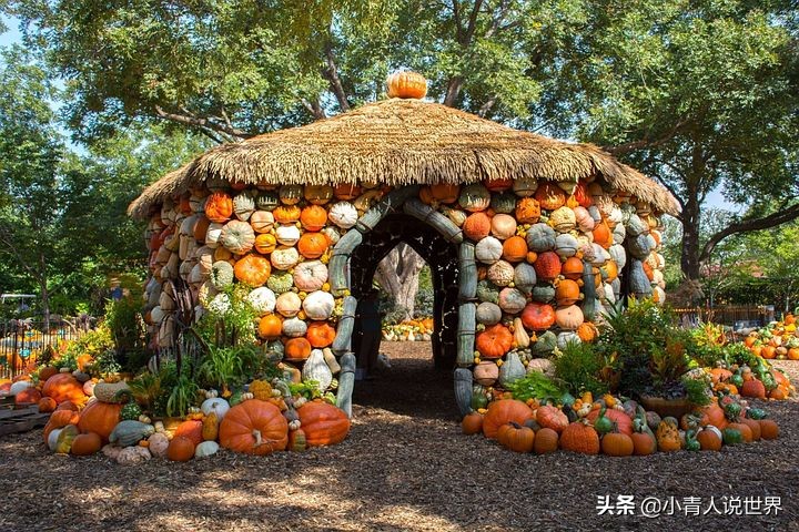 达拉斯不沿海为什么发达,达拉斯是个怎样的城市