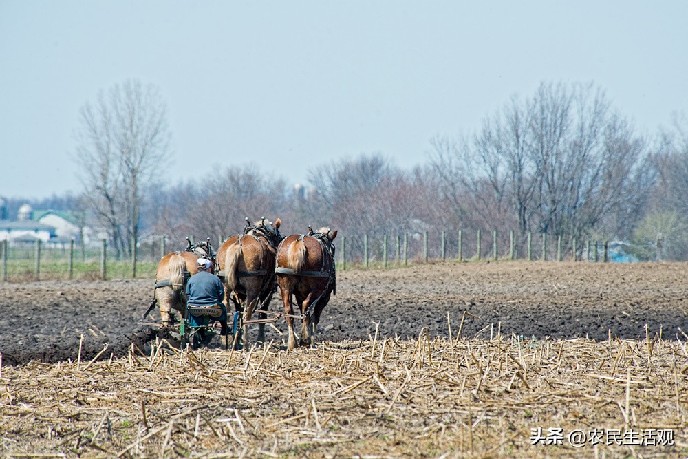 老人说今年立冬，“立冬甲子头，寡妇四方游”，甲子头什么意思？