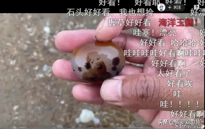 烟台赶海人一晚捞千余斤海肠吃,男子通宵赶海捡80斤海肠