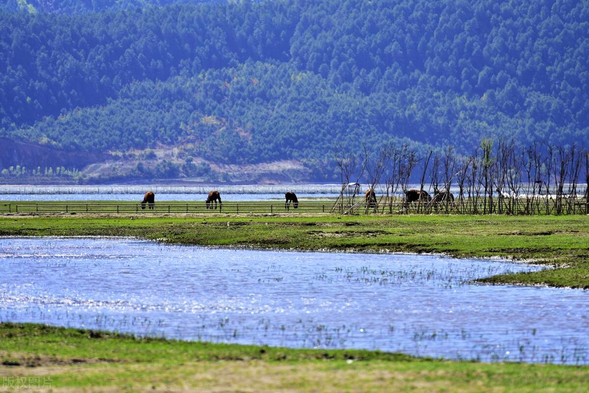 香格里拉最值得去的景点排名,香格里拉旅游必去的十大景点