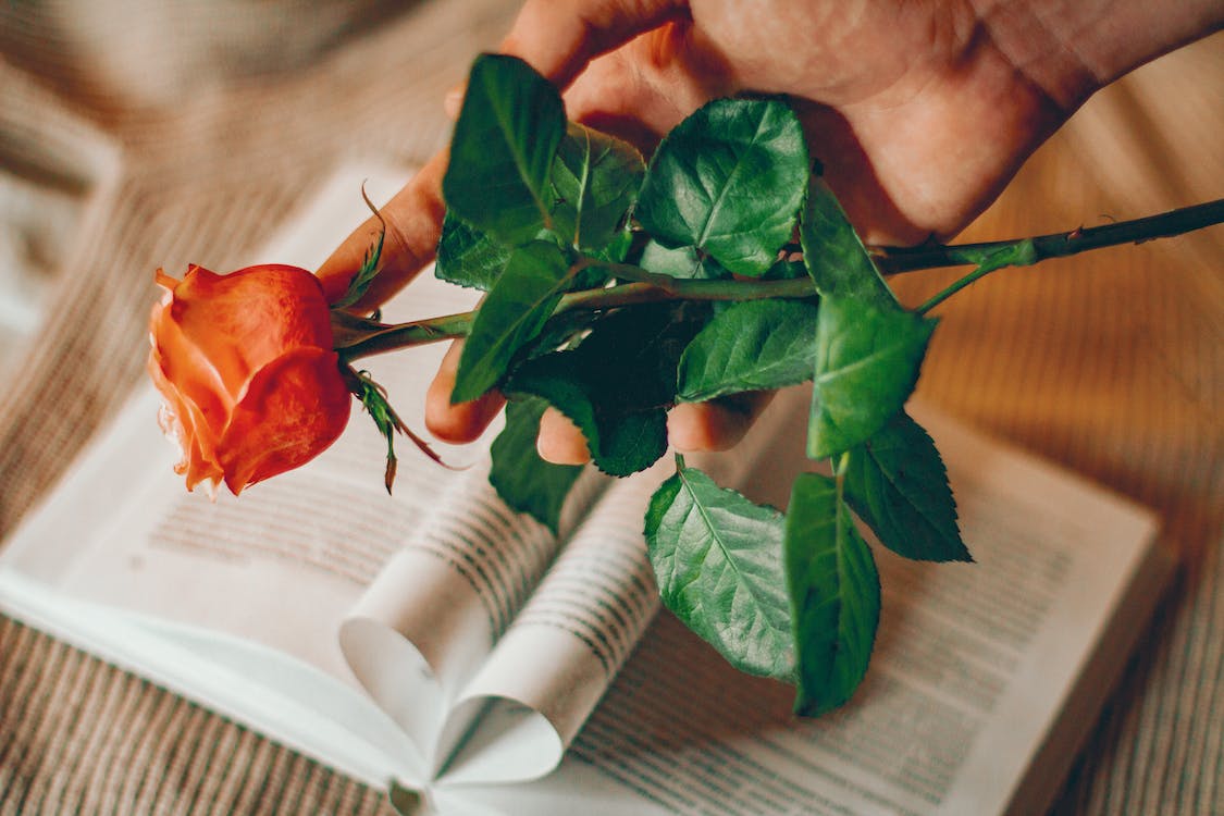 高情商女人让男人彻底爱上聊天,女人如何在聊天中让男人爱你