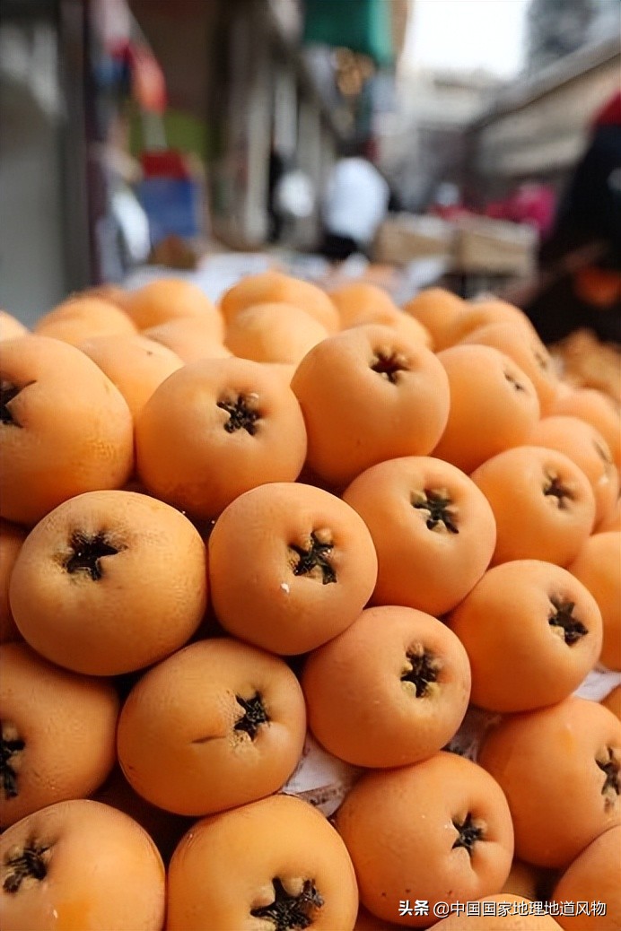 北方人认识枇杷吗,南方人有多爱嗦粉