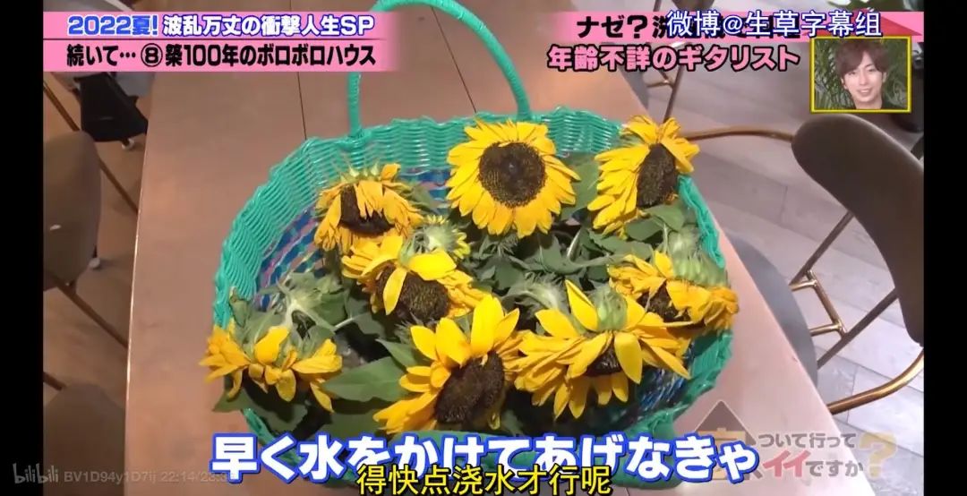 日本秃头大叔33岁考大学当上CEO!还迎娶小13岁白富美?网友酸哭