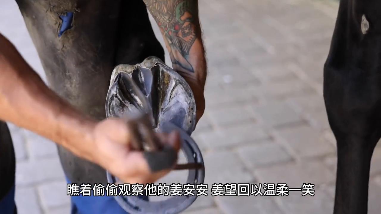 【凤溪镇】宋姨娘的故事