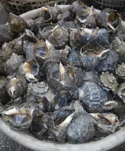 丹东东港旅游攻略自由行,丹东避暑游玩的地方推荐