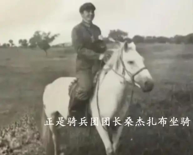 再见白龙马,无相白龙马