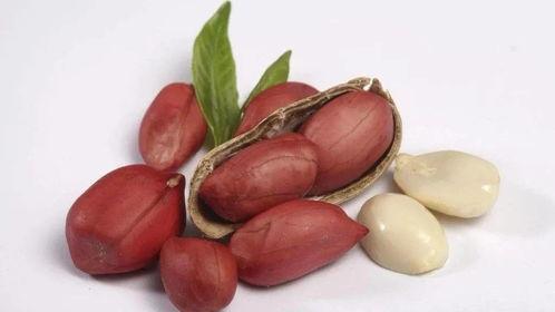 这十种食物晚上常吃身体好,有助于睡眠的五谷粗粮