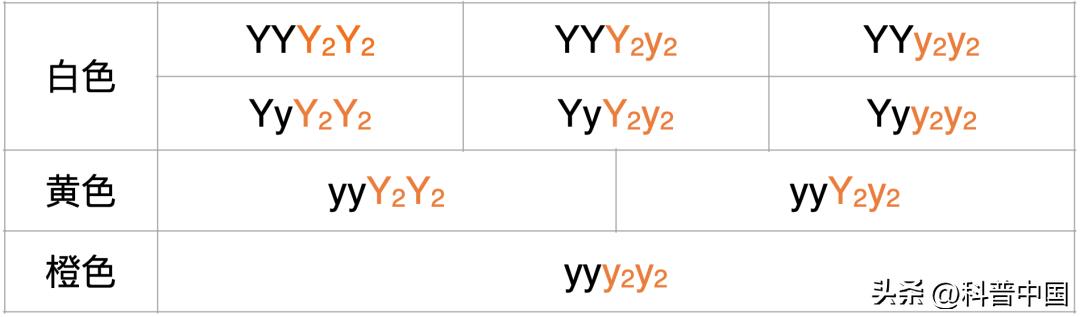 荷兰几次无缘世界杯,荷兰缺席几届世界杯了
