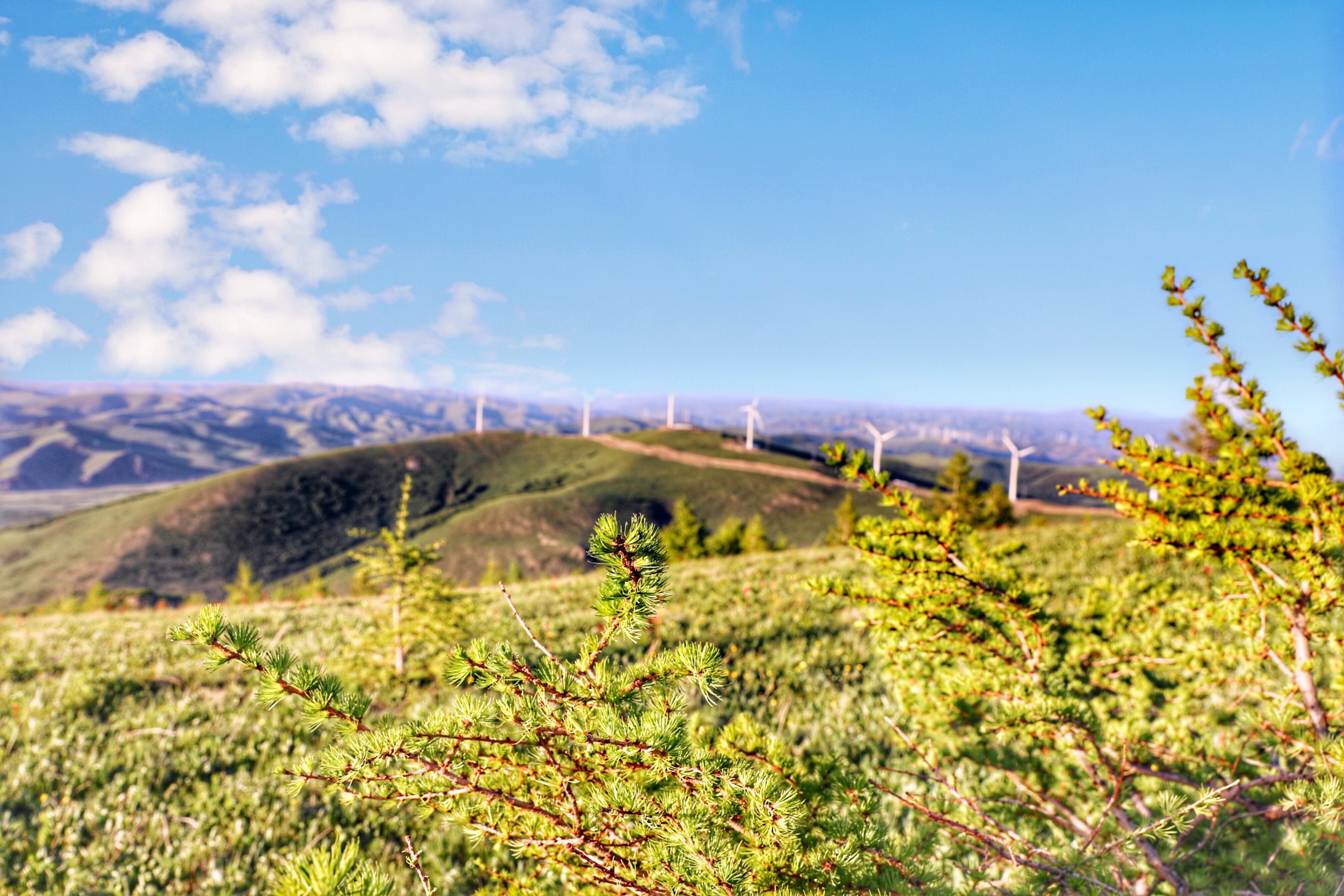 五一假期人从众出游,五一出游人从众何去何从