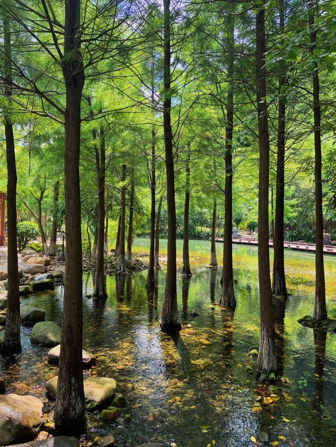 广东避暑的旅游景点冷门,广州周边游冷泉滩