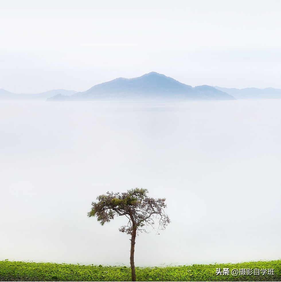 手机摄影实用摄影技巧,手机摄影最新拍摄小技巧热门作品