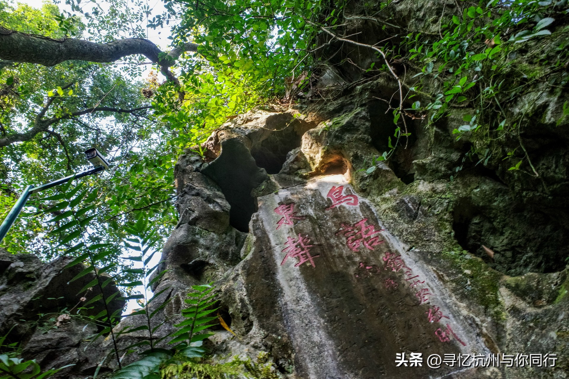 杭州三大景观古建筑,杭州三大名茶