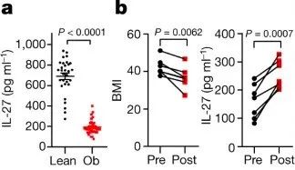 你是个成熟的脂肪细胞了,应该学会自己燃烧