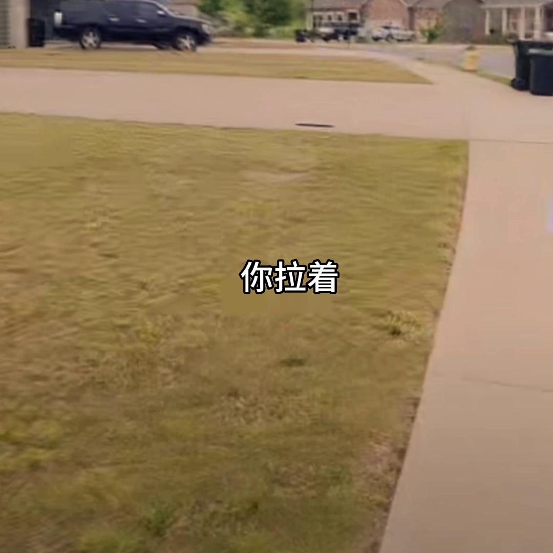 云游看在海外的生活#实况