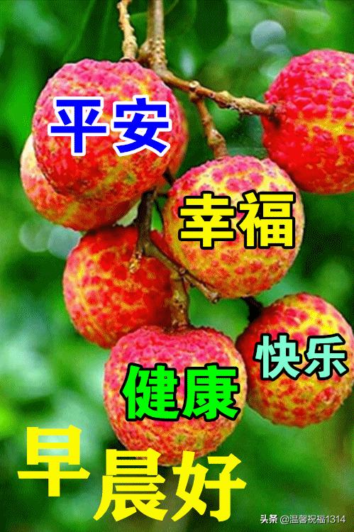 春天早晨好高级图片,春天早上好暖心祝福语图片