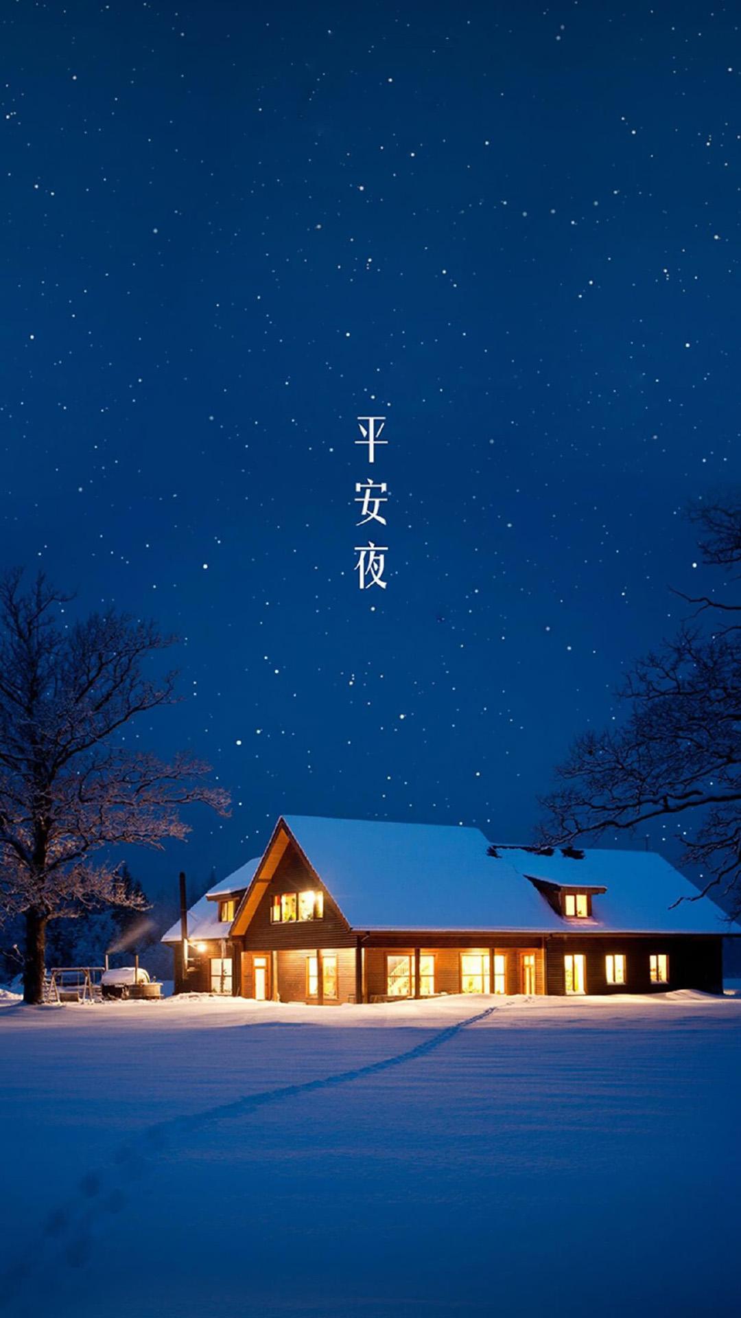 2022年的平安夜,你准备送什么花给心爱的她?