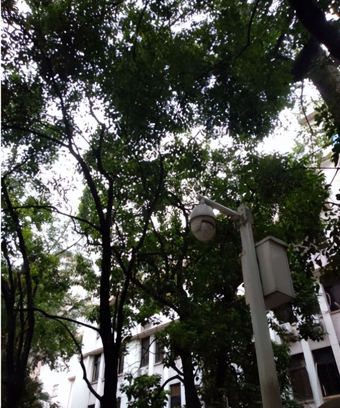 玩中学才是学习的正确打开方式,玩中学学中玩的教育方针