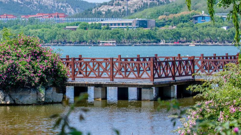 济南近郊旅游专线,济南开通的几条旅游线公交不错