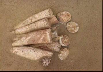 金沙之谜古蜀王国的文物传奇,金沙遗迹