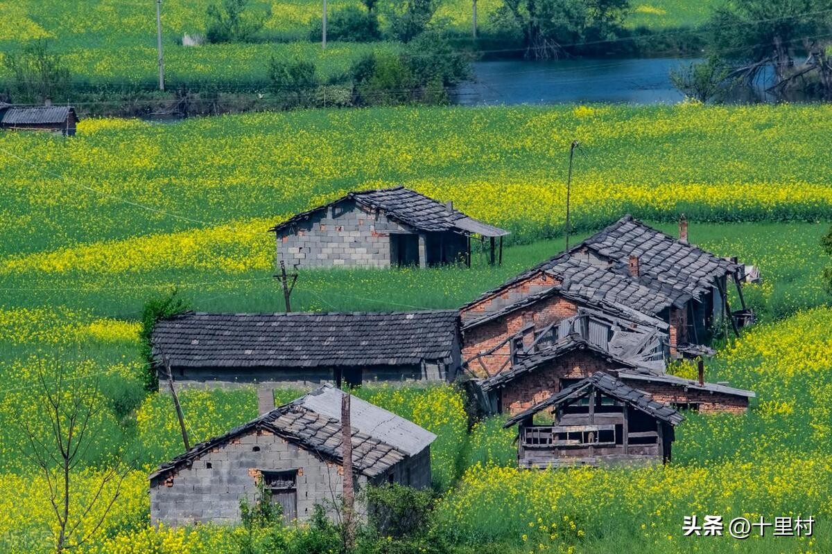 一个人做三农短视频怎么赚钱,三农短视频还有前景吗