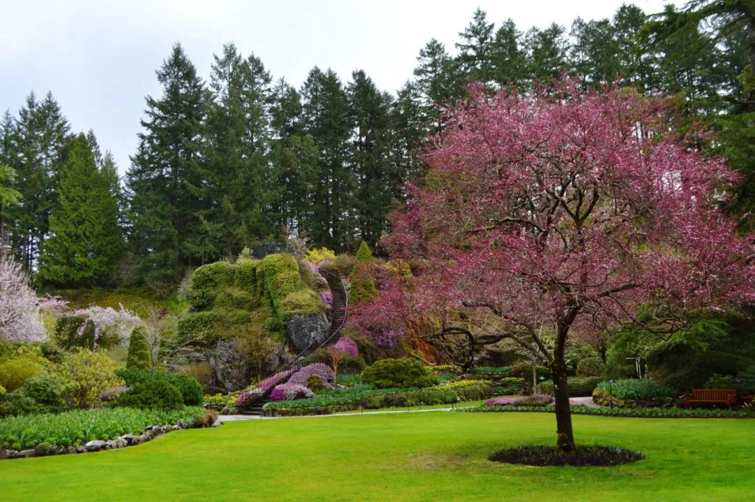 拆开汉字看人生真的绝了,30个汉字拆开看30个角度悟人生