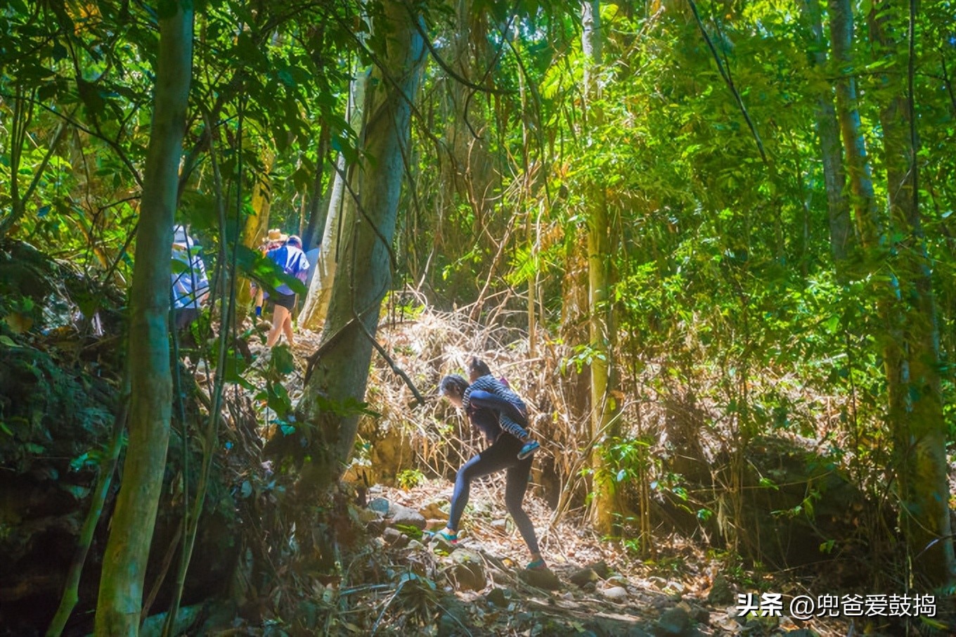 登岛旅游,仙本那和敦沙卡兰哪个好