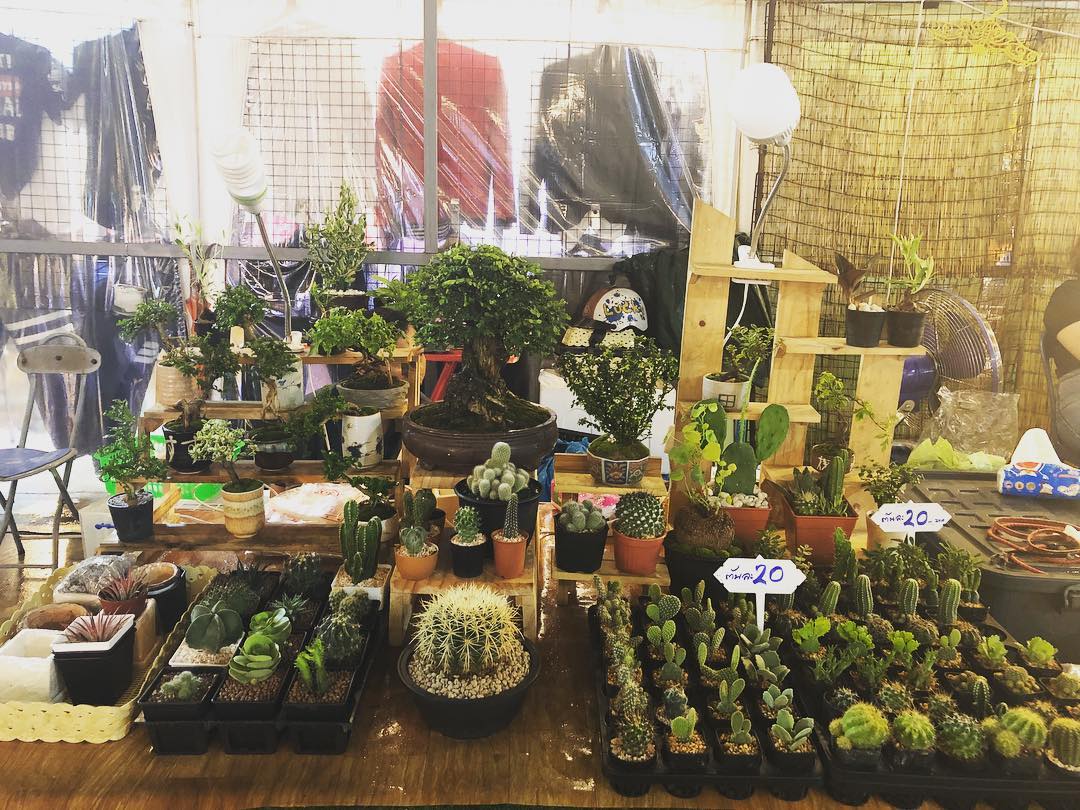 泰国曼谷6大夜市推荐,带你逛泰国曼谷夜市