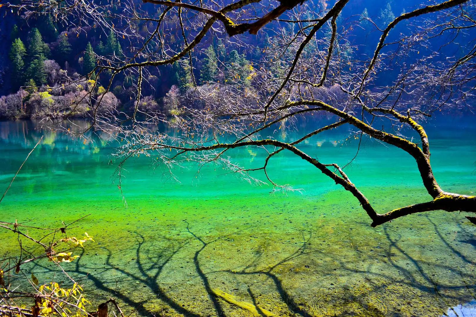 人间仙境九寨沟图片,人间仙境九寨风景图片