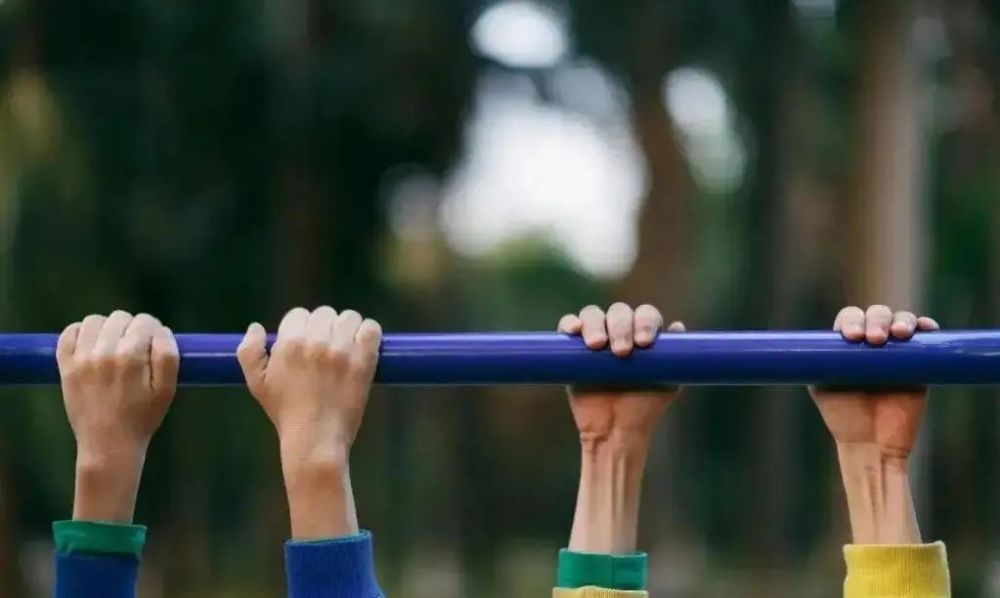 辛巴助力河南,辛巴助力黑龙江灾区