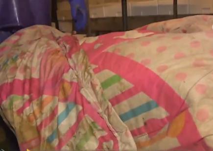 浙江人养南美对虾赚钱,浙江男人养甲鱼