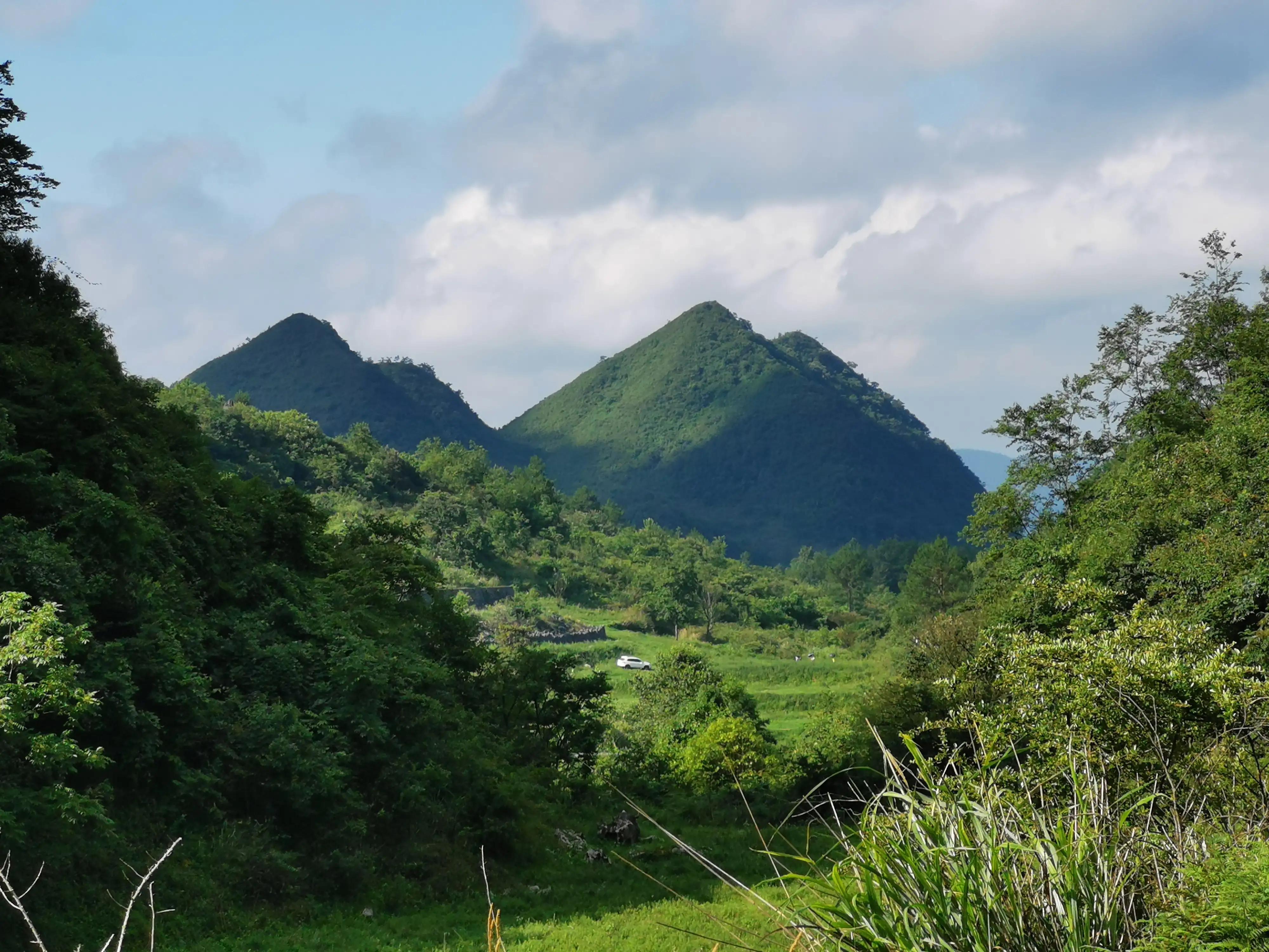 桐梓楚米避暑海拔高的地方,贵州桐梓楚米避暑哪家好