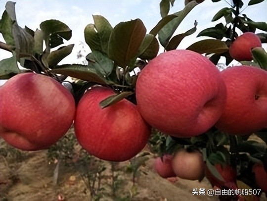 辽宁省沈阳市新民市地图,辽宁省沈阳市新民市住家阿姨