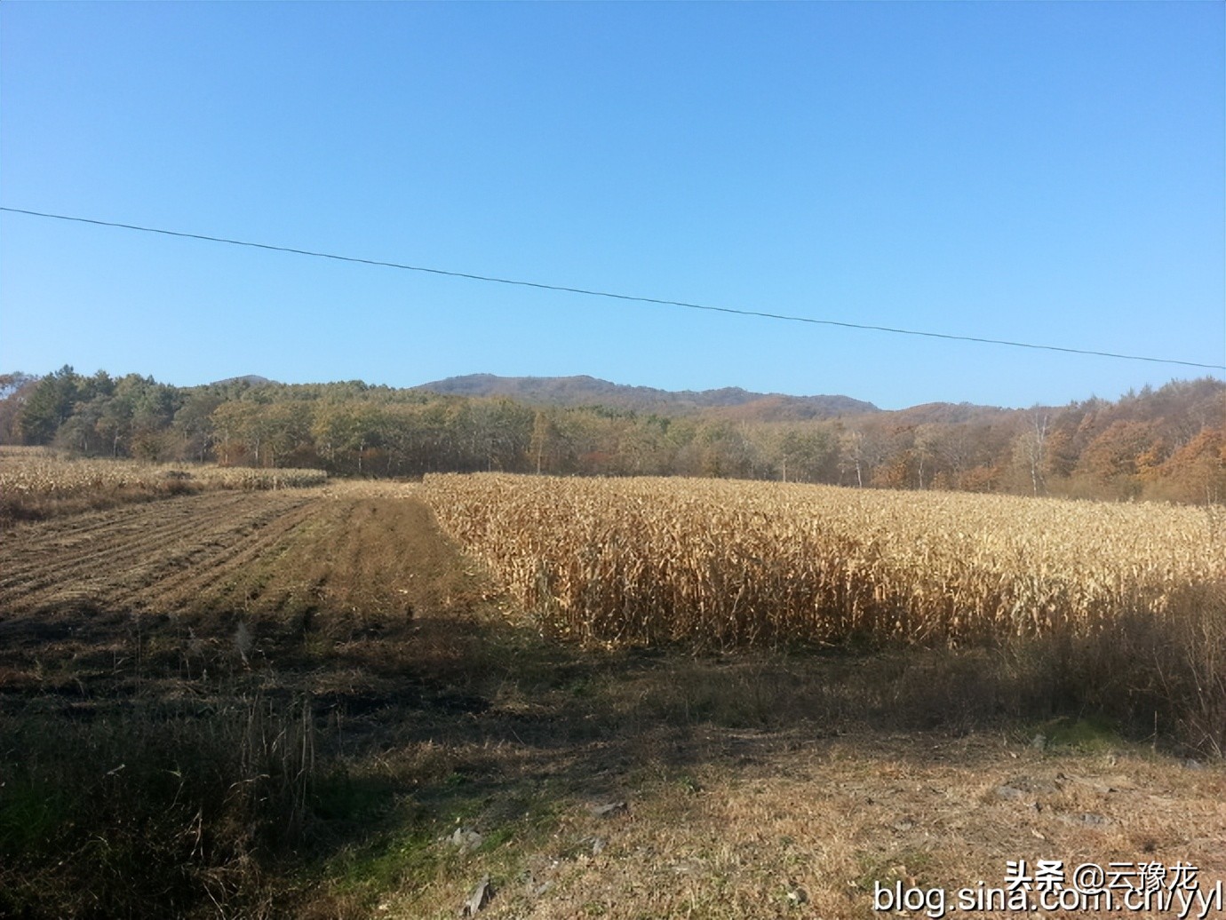 哈弗h6用车体验,哈弗h6国潮用车小技巧