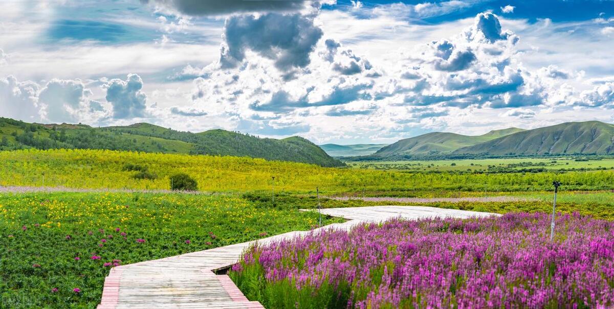希拉穆仁大草原旅游攻略,内蒙古希拉穆仁大草原夜景