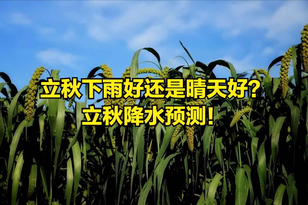 老话说立秋下雨有什么说法,立秋下雨是晴天多还是雨多
