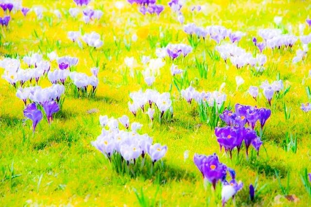 修心行善必有佛佑,心本善良一心向善愿善者得善报