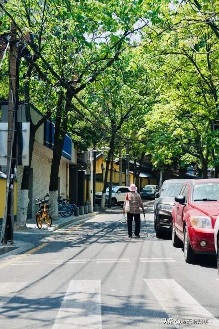 桃叶渡、乌衣巷、白鹭洲……南京那些绝美地名