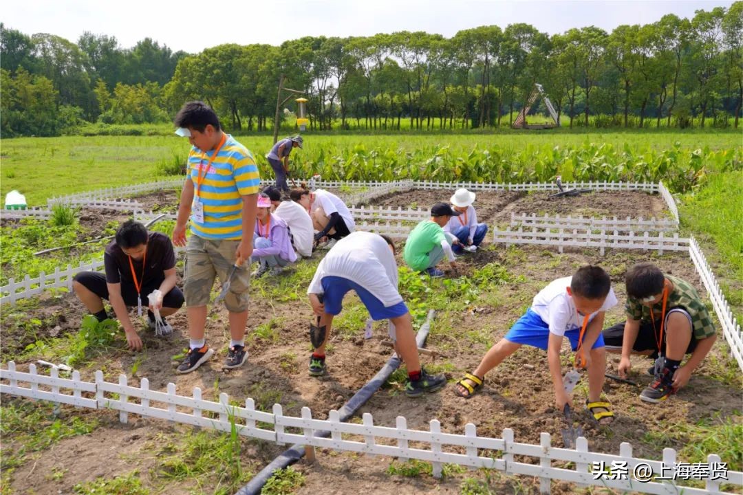 解锁职业新体验,解锁童年新体验